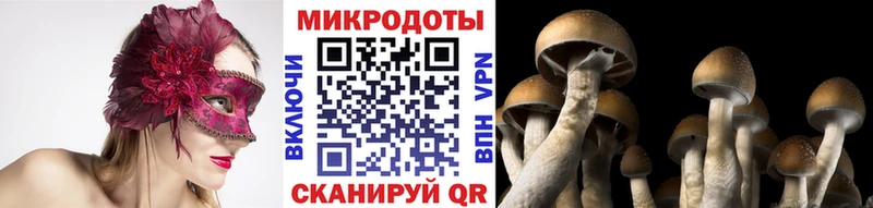 нарко площадка состав  Новоаннинский  Галлюциногенные грибы мухоморы 